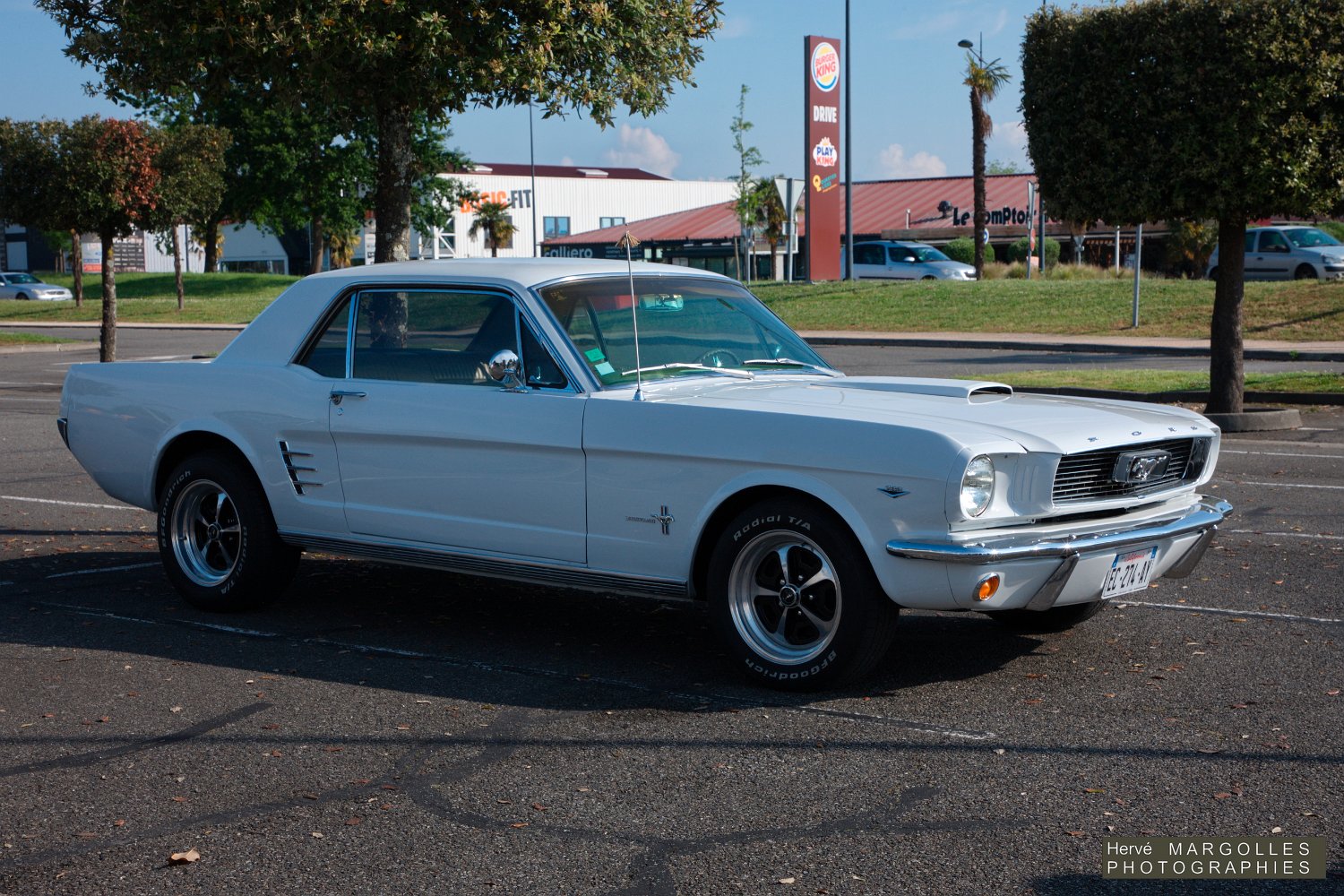 Ford Mustang-01.jpg